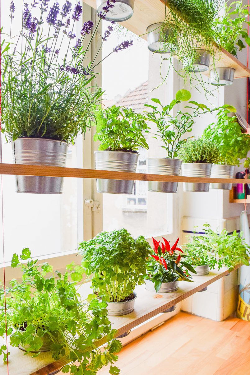 indoor vertical herb garden diy